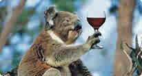 koala wine