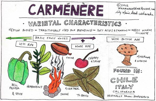 CarmenereCharacteristics
